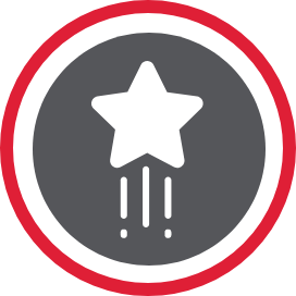 Quality Value Star Icon