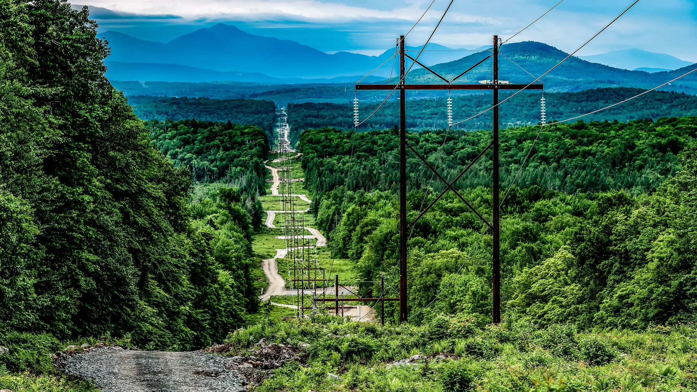 A long stretch of power lines spans a forest clearing