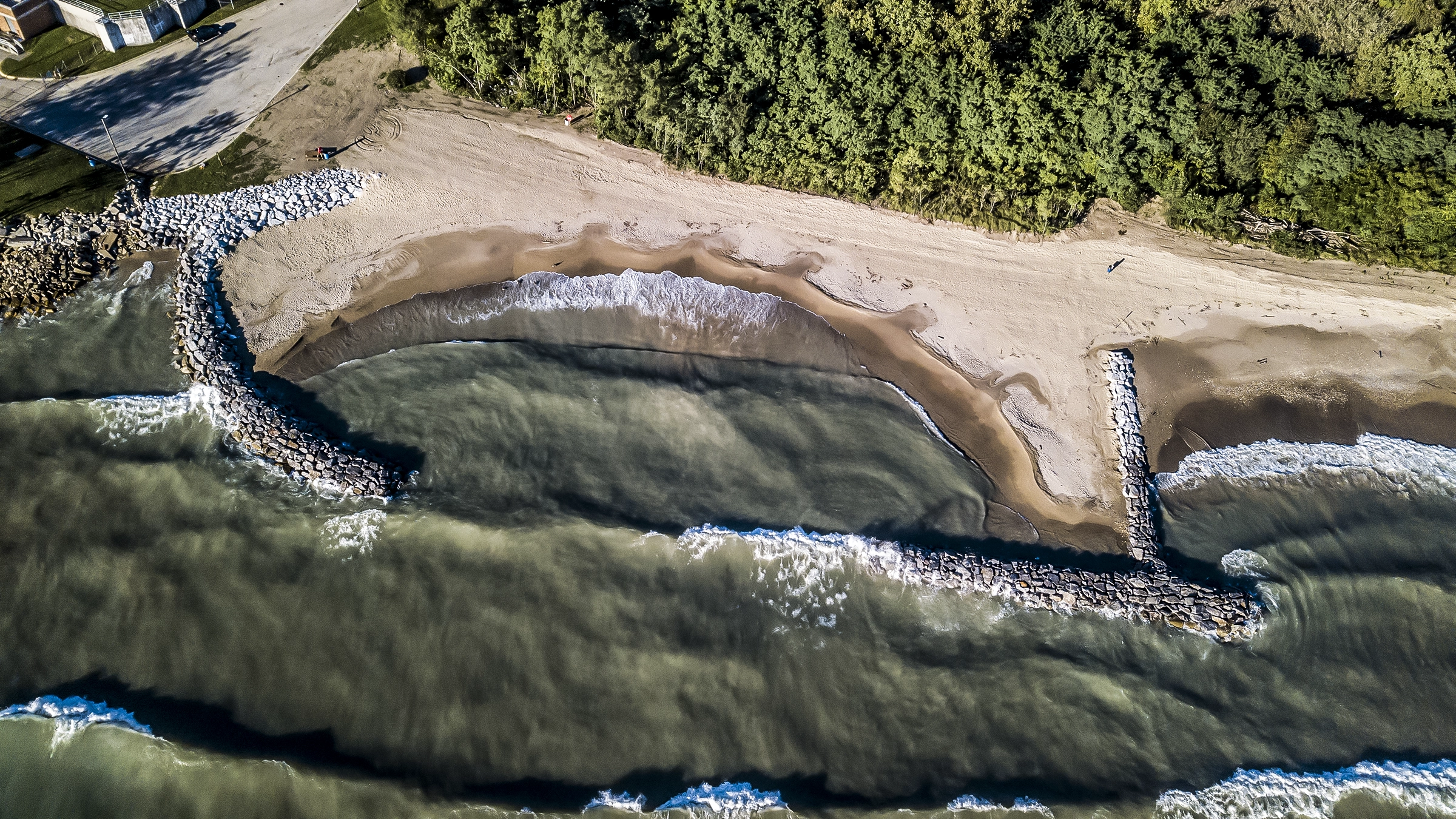 A Lake Michigan shoreline and beach near trees